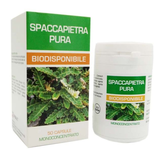 SPACCAPIETRA-PURA-BIODISPONIBILE-50-CAPSULE-DA-300-MG