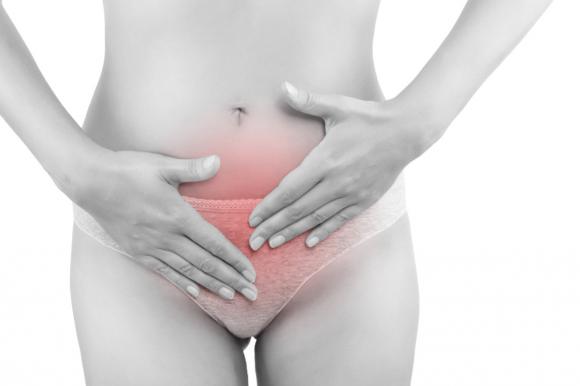 ghiandola_di_Bartolini_01