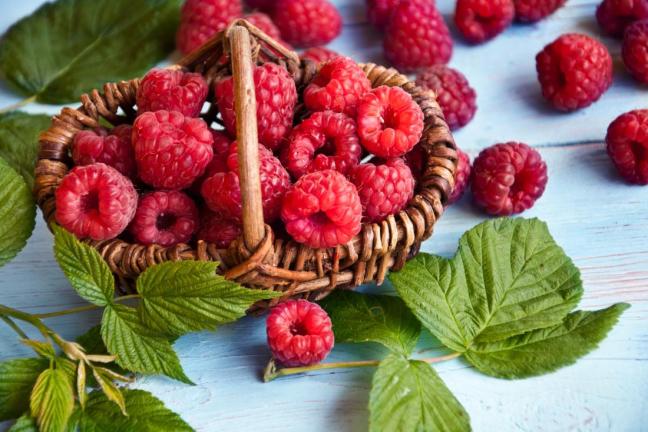 fibromialgia alimentazione