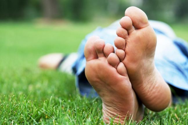 piedi su un prato farmajet